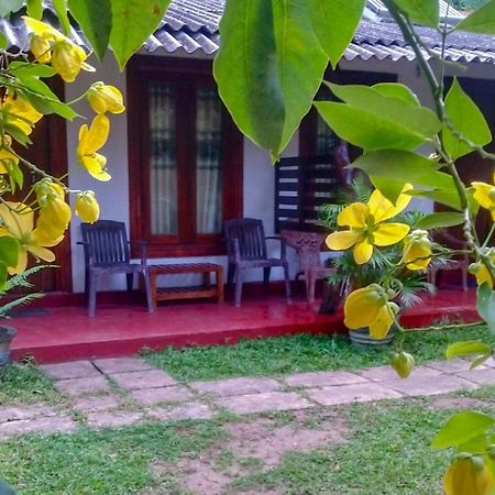 Gangula Eco Lodge Sigiriya Ngoại thất bức ảnh