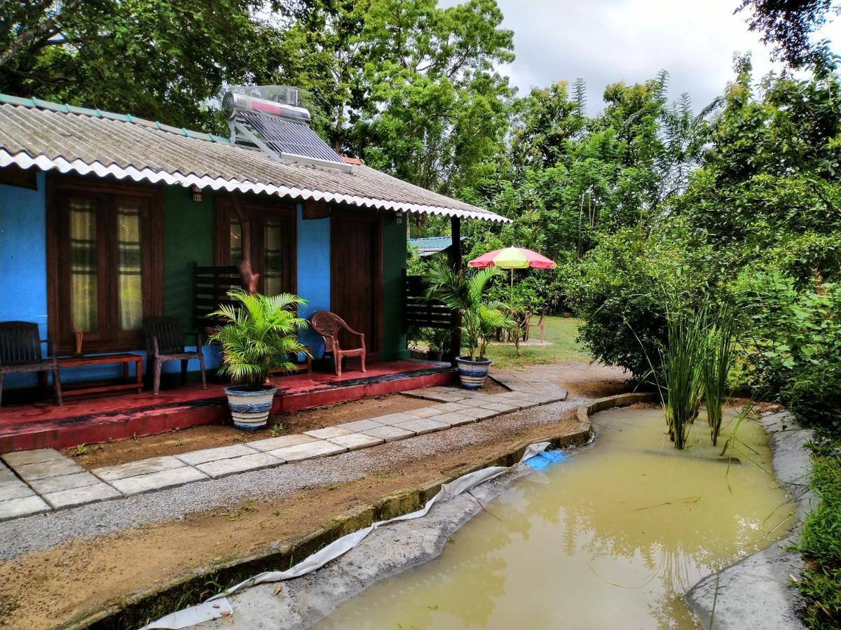 Gangula Eco Lodge Sigiriya Ngoại thất bức ảnh